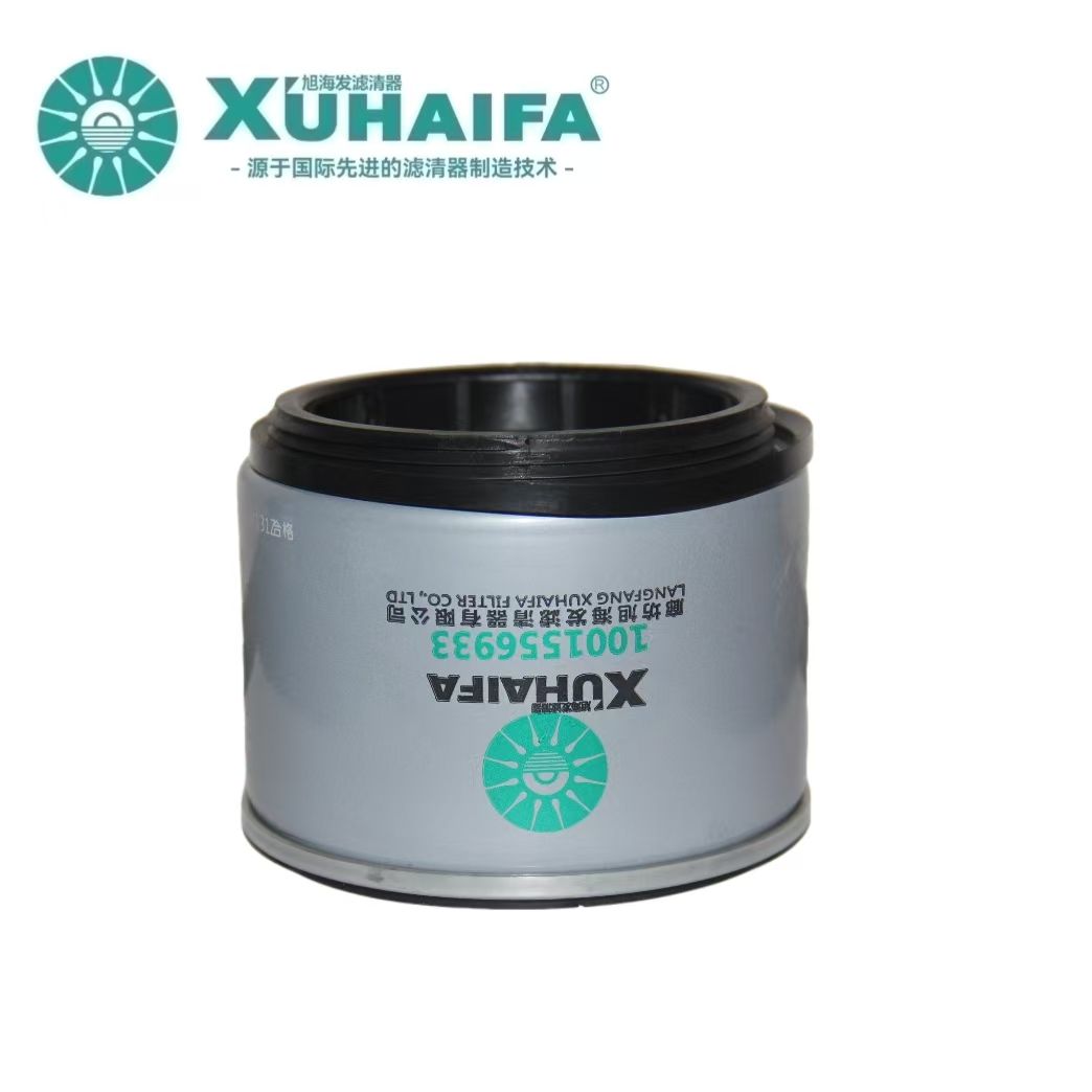 1001556933 Fuel Filter